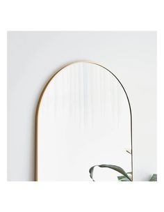 an arched mirror with a plant in front of it