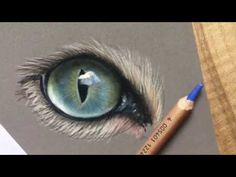 a pencil drawing of an animal's eye with blue and green eyeshade