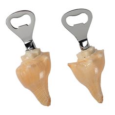 two seashells with metal handles on white background