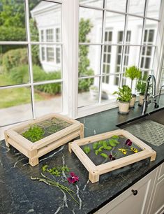 two wooden trays filled with plants sitting on top of a counter next to a window