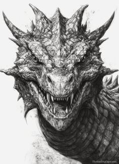 a drawing of a dragon's head with sharp teeth