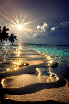 the sun shines brightly over an ocean beach with palm trees and sparkling lights in the water