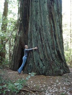 a woman standing next to a large tree in the forest with her arms outstretched up