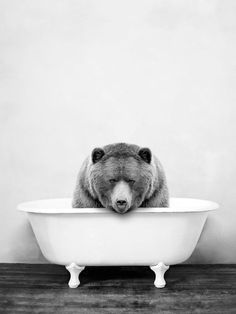 a black and white photo of a bear in a bathtub with his head resting on the edge