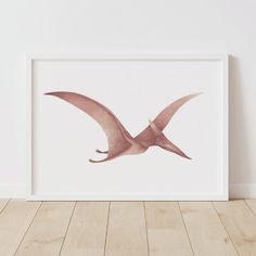 a framed photograph of a bird flying in the air with its wings spread out, against a white wall