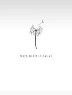 a dandelion with the words learn to let things go