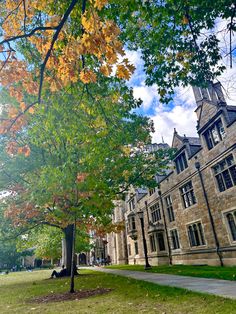 a tree in front of an old building with fall leaves on the ground and grass around it