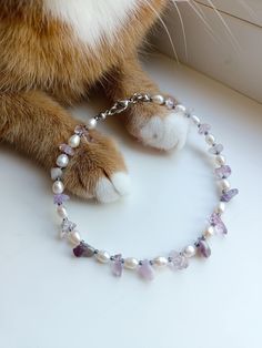 a cat is sitting on the window sill wearing a necklace with pearls and amethyst beads