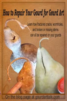 an image of how to repair your gourd for gourd art project