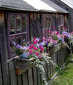 several flower pots in front of a wooden building