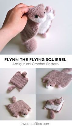 a stuffed animal that is being held up by someone's hand with the caption, flyn the flying squirrel