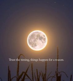 a full moon with the words trust the thin things happen for a reason