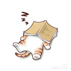 an orange and white cat laying on its back with a book in it's mouth