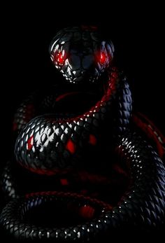 a black and red snake with its tongue out in the dark, it's head turned towards the camera