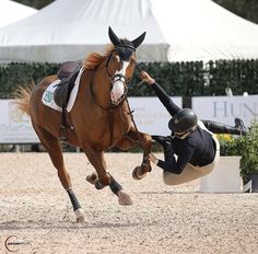 a person on a horse that is jumping in the air with it's leg