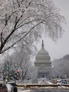 the capital building is covered in snow on a winter day