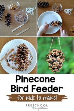 pinecone bird feeder for kids to make