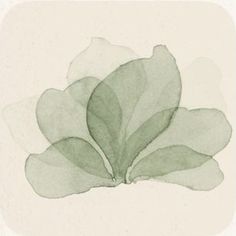 an image of a green leaf on a white background with watercolor effect in it