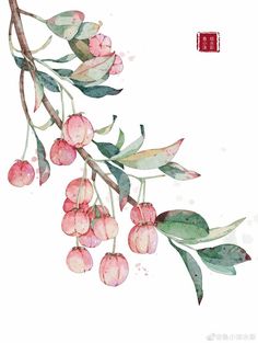 watercolor painting of berries on a branch with chinese calligraphy in the background,