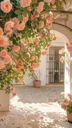 pink roses are blooming on the outside of a building with an arched doorway and white walls