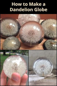 how to make a dandelion globe