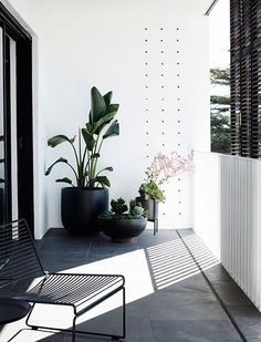 a black and white balcony with potted plants