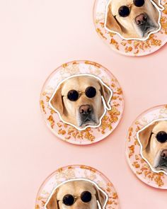 three plates with dogs wearing sunglasses on them