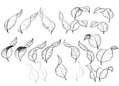 some leaves are drawn in black and white