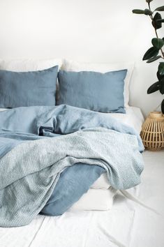 an unmade bed with blue sheets and pillows on top of it next to a potted plant