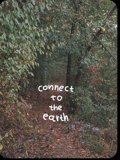 the words connect to the earth written in white on a forest path with trees and leaves