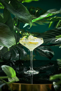 a glass filled with a drink sitting on top of a table next to green plants