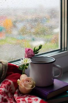 a coffee cup and flowers on a rainy window sill