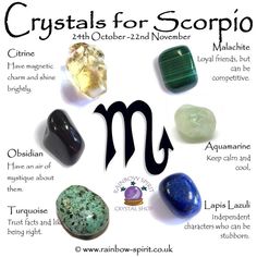 Scorpio Birthstones Crystal Set | Etsy Scorpio Gemstones, October Crystals, Halloween Rhymes, Bi Culture, Aries Birthstone, Magia Das Ervas, Zodiac Stones, Crystal Therapy