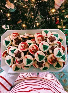 christmas cookies on a platter in front of a decorated christmas tree