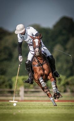 a polo player riding a brown horse while holding a white ball and playing golf on the field