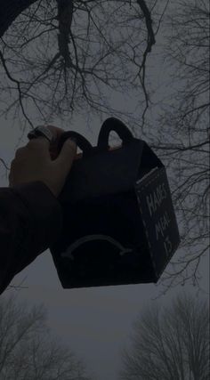 a person holding a black bag up to the sky with trees in the background and foggy skies