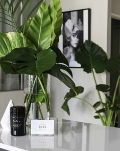 a white table topped with a vase filled with green plants