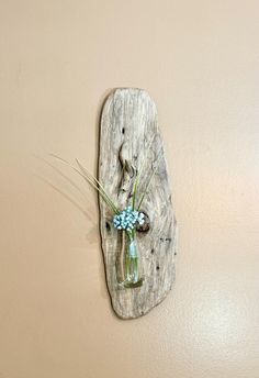 a vase with some flowers in it hanging on a wall