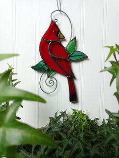 a red bird is hanging from a wire on a white wall next to some plants