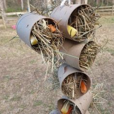 a traffic light that has some birds in it's nest on top of the pole