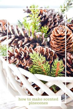 pine cones and evergreen needles in a white basket