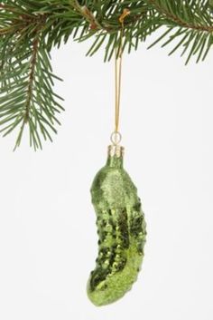 a pickle ornament hanging from a pine tree with green needles on it