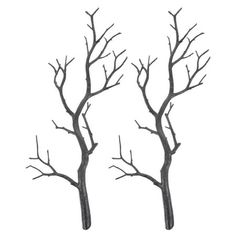 two black branches with no leaves on them