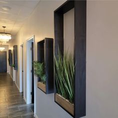 an office hallway with plants on the wall