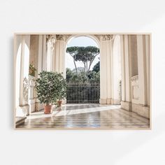 an open doorway with potted plants in front of it