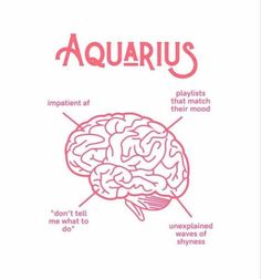 an image of the inside of a brain with captioning words on it that read aquarius