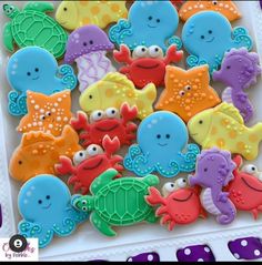 decorated cookies in the shape of sea animals