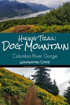 the dog mountain trail in washington state