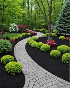 a pathway in the middle of a lush green park