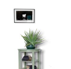 a green shelf with books and a plant on it in front of a white wall